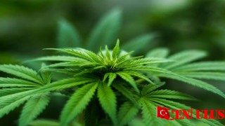 Çocukları Uyuşturucudan Uzak Tutmak